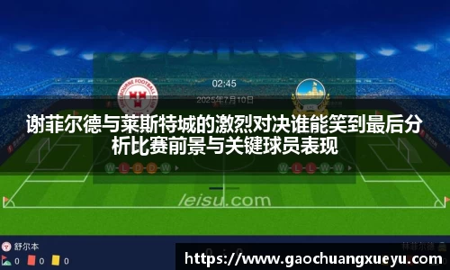 法甲直播法甲直播谢菲尔德与莱斯特城的激烈对决谁能笑到最后分析比赛前景与关键球员表现