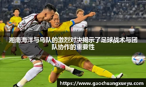 法甲直播法甲直播湘南海洋与乌队的激烈对决揭示了足球战术与团队协作的重要性